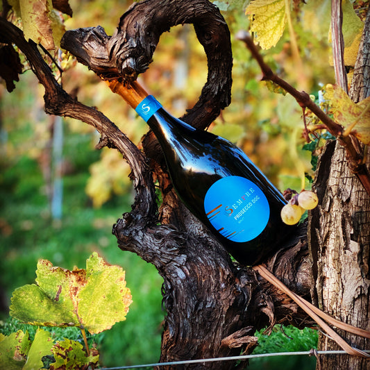 SULLE VIE DEL GUSTO: IL PROSECCO BRUT