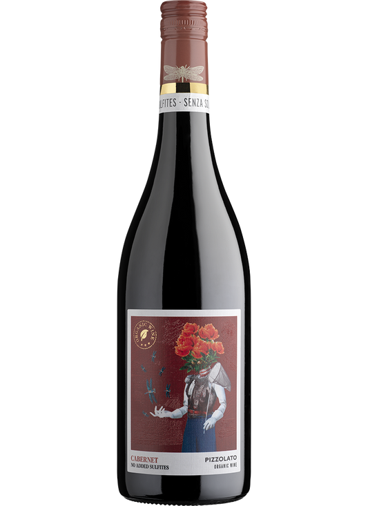 CABERNET VENETO IGT Senza Solfiti Aggiunti BIO